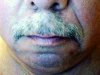 Movember-Schnurrbart